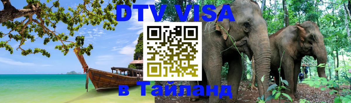 Оформление DTV визы под ключ: стоимость и тарифы, только загранпаспорт - 